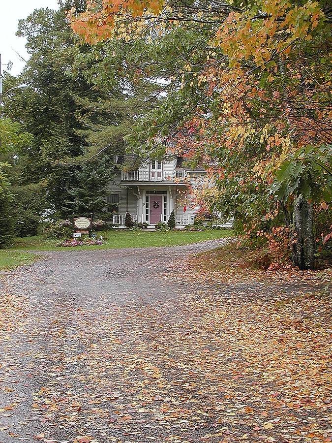 Briarwood Bed & Breakfast Elmsdale Екстериор снимка